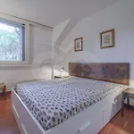Dunelba - Goelba
