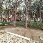Dunelba - Goelba *